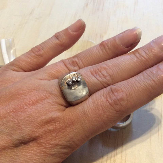 Fixed star group project course